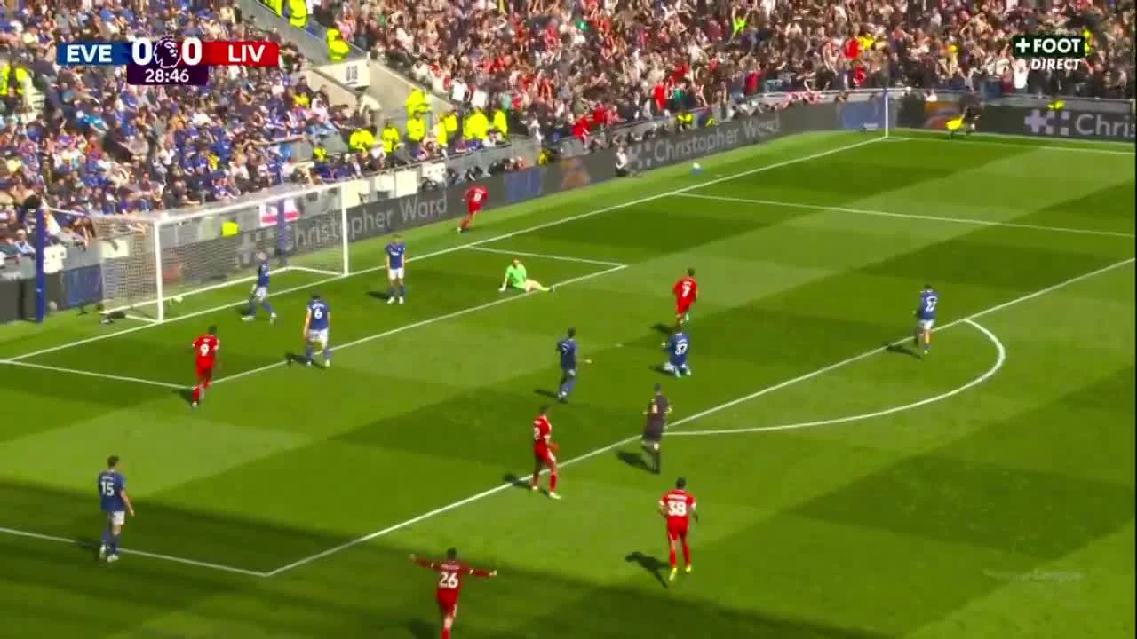 zaslepka skrotu video