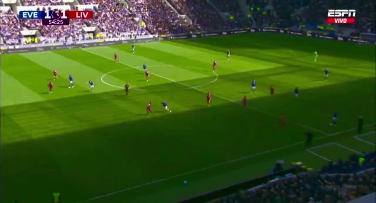 zaslepka skrotu video