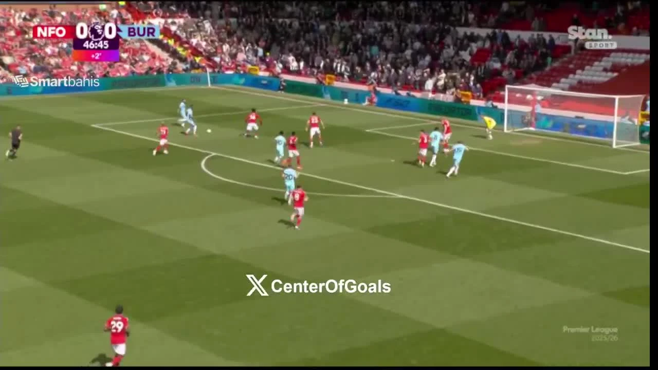 zaslepka skrotu video