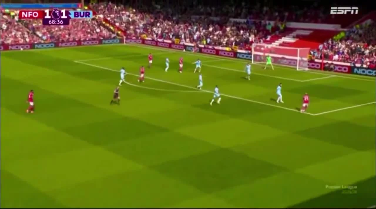 zaslepka skrotu video