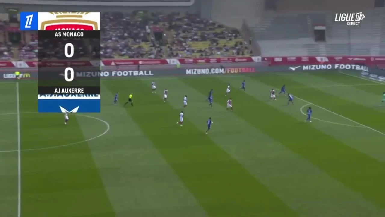 zaslepka skrotu video