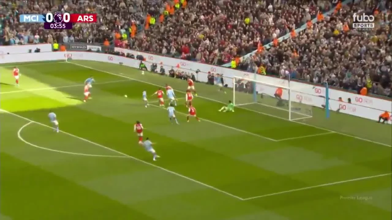 zaslepka skrotu video