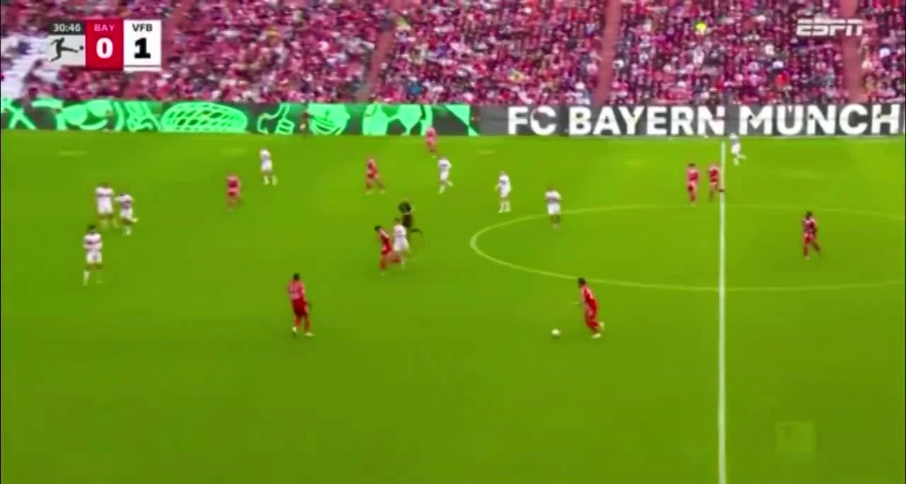 zaslepka skrotu video