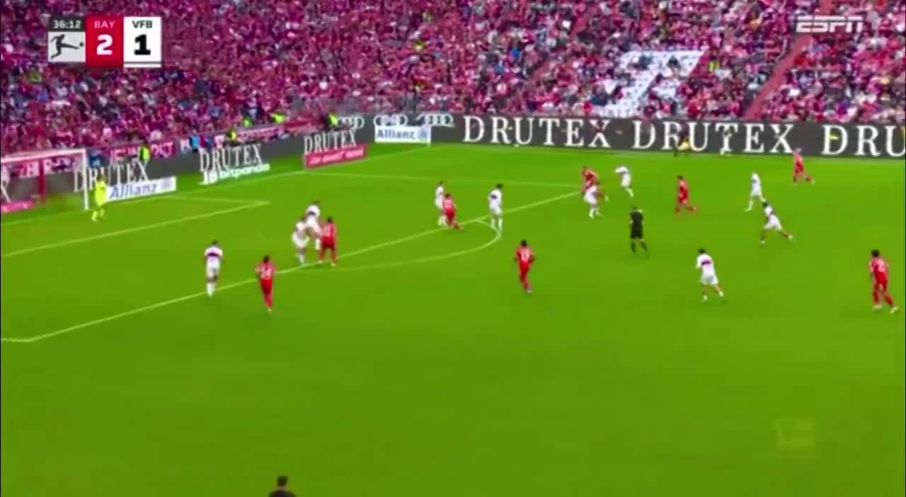 zaslepka skrotu video