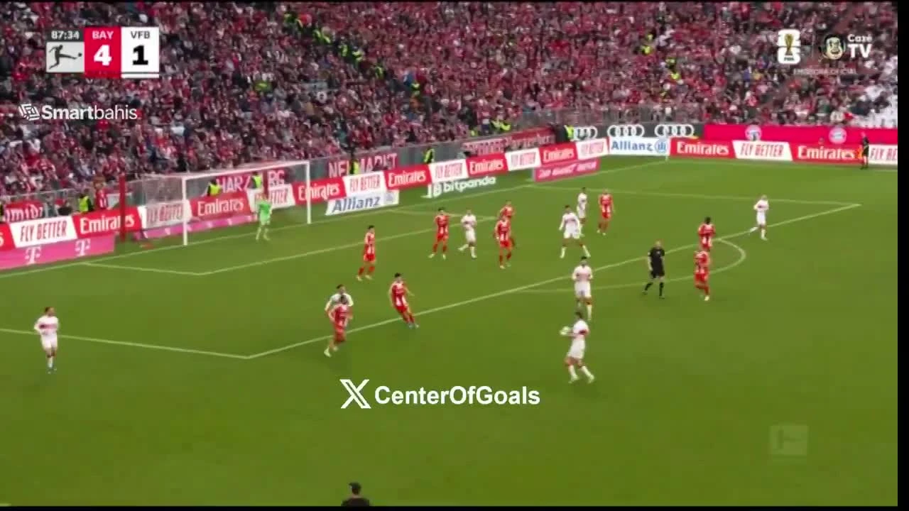 zaslepka skrotu video