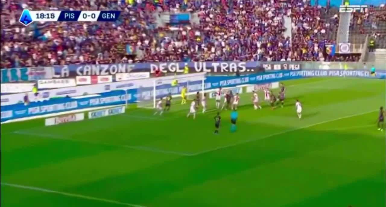 zaslepka skrotu video