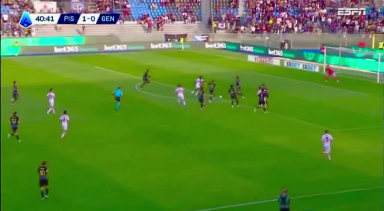 zaslepka skrotu video