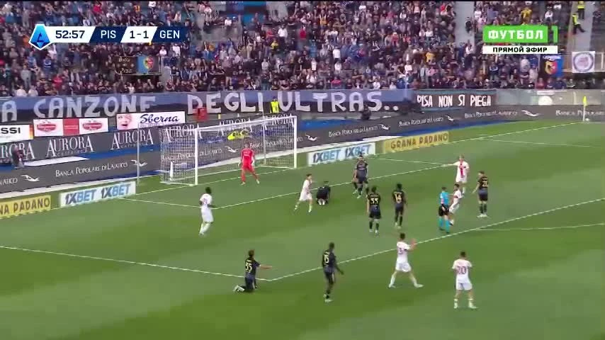 zaslepka skrotu video