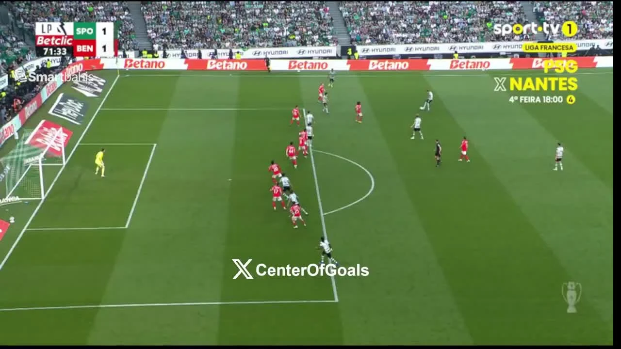 zaslepka skrotu video