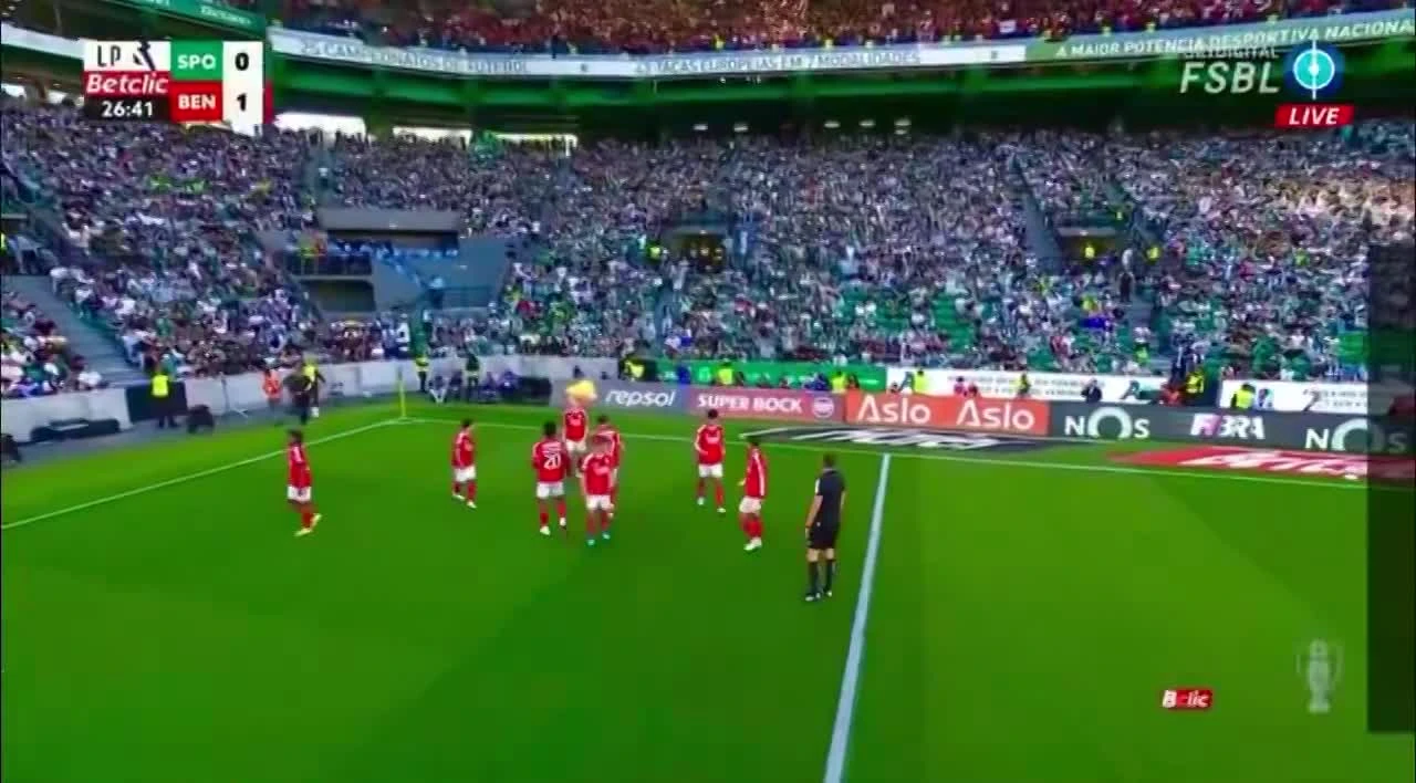 zaslepka skrotu video