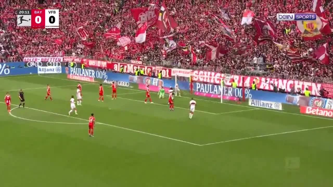 zaslepka skrotu video