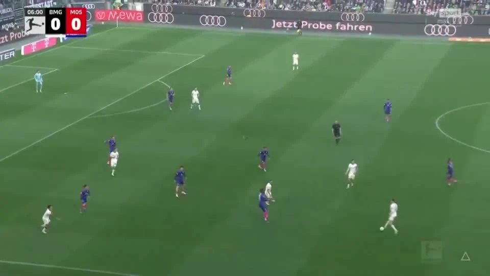 zaslepka skrotu video