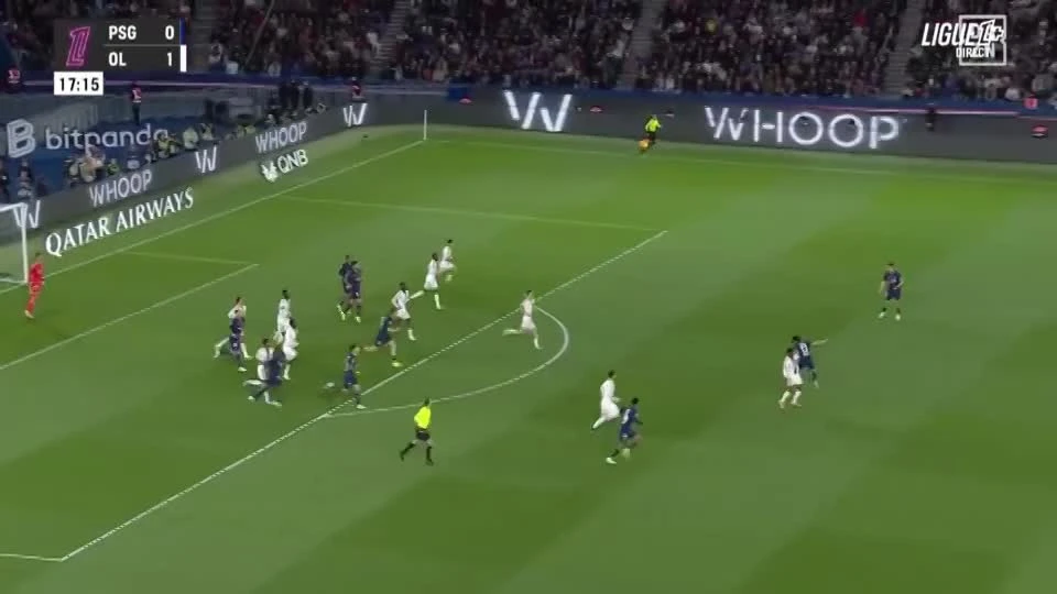 zaslepka skrotu video