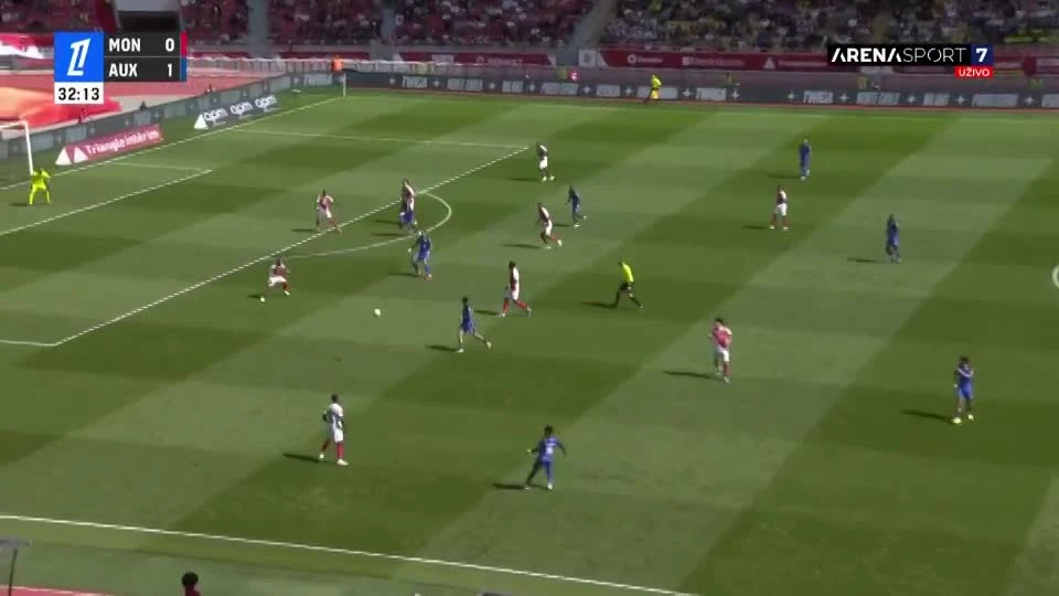 zaslepka skrotu video