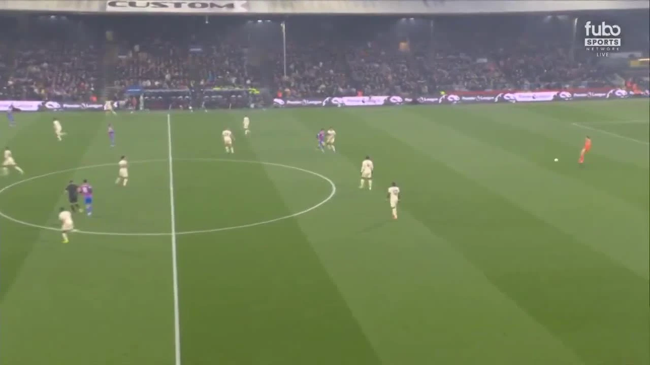 zaslepka skrotu video