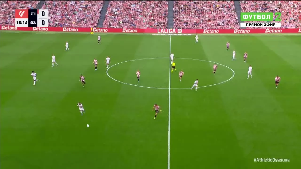 zaslepka skrotu video