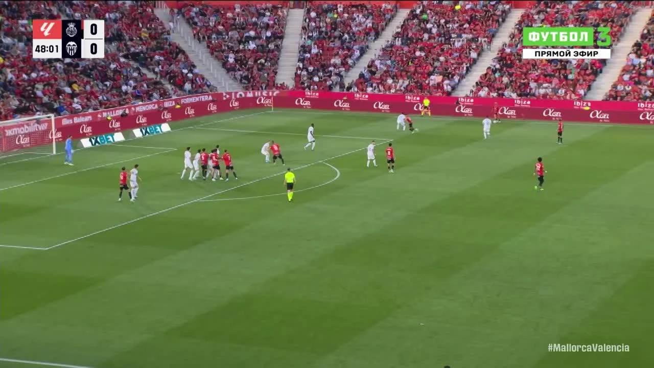 zaslepka skrotu video