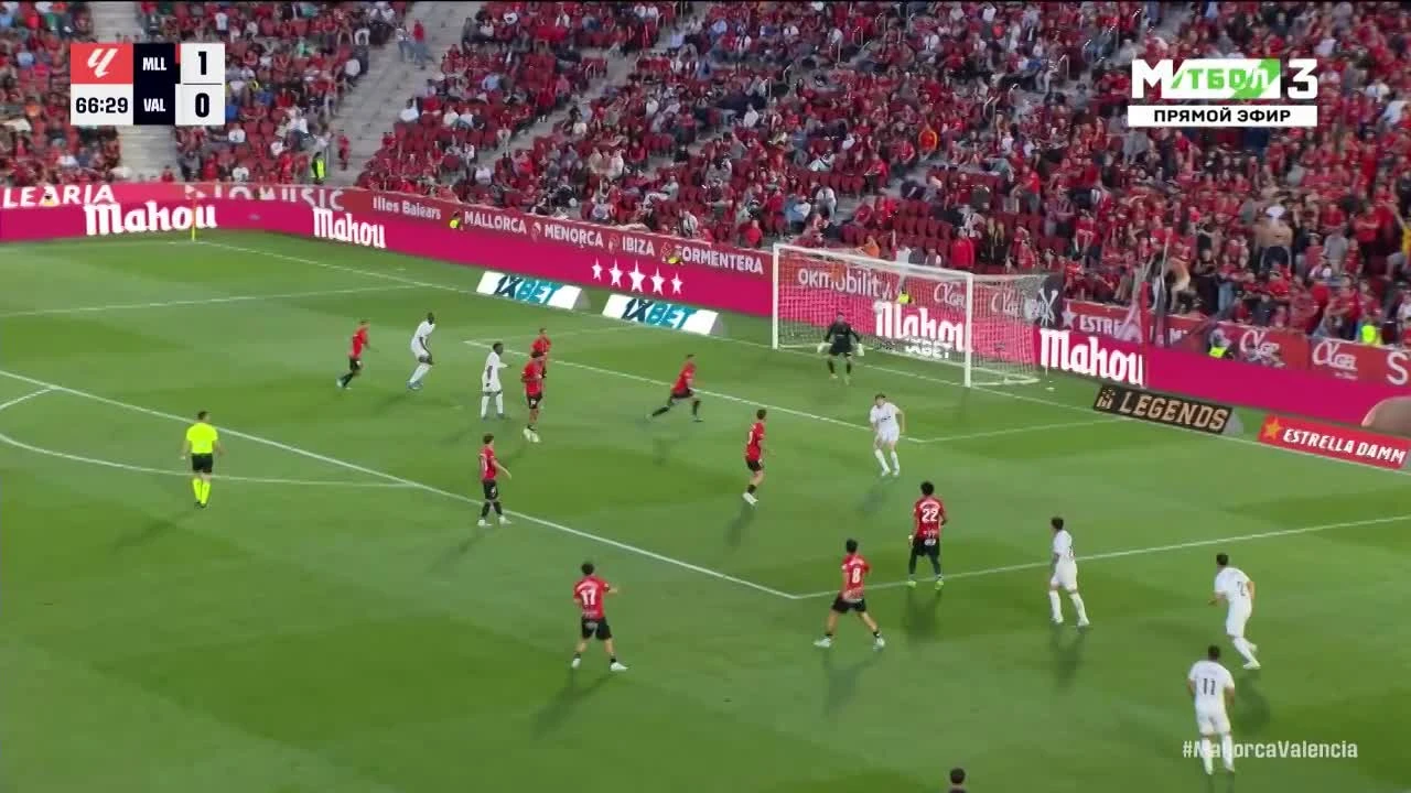 zaslepka skrotu video