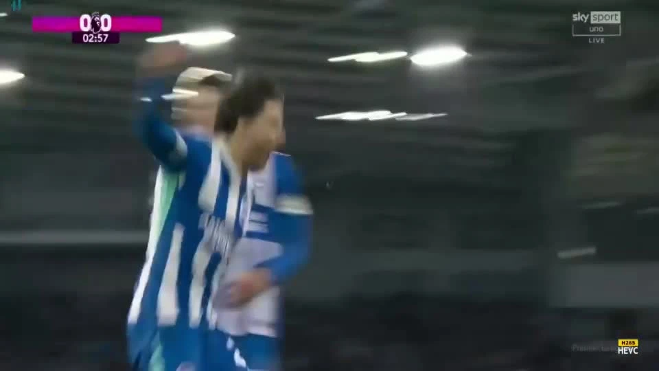 zaslepka skrotu video