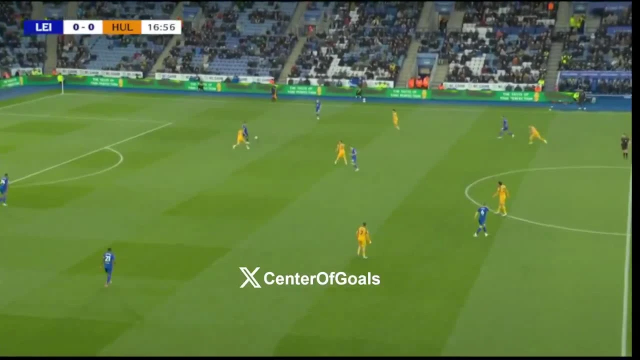 zaslepka skrotu video