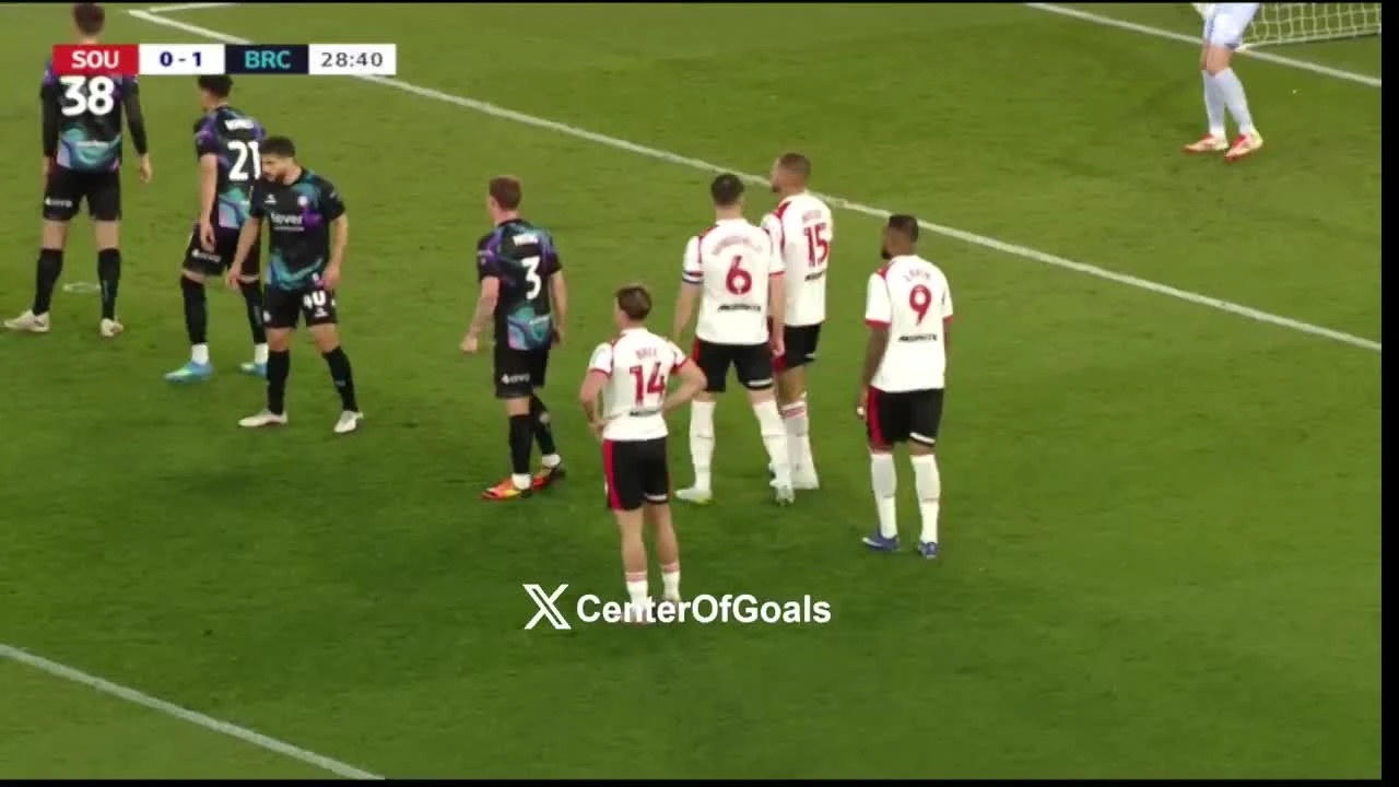 zaslepka skrotu video