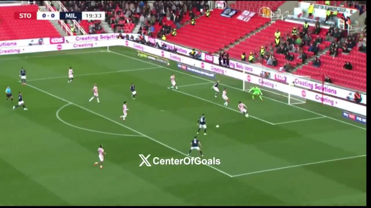 zaslepka skrotu video