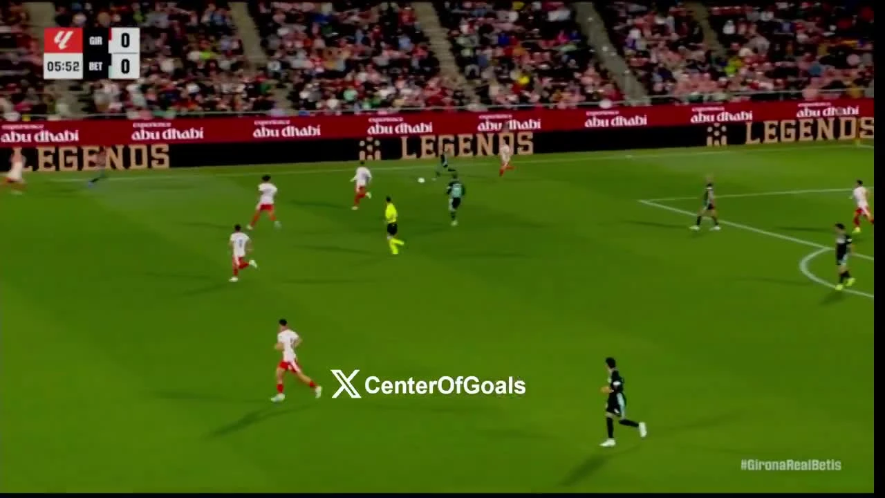 zaslepka skrotu video