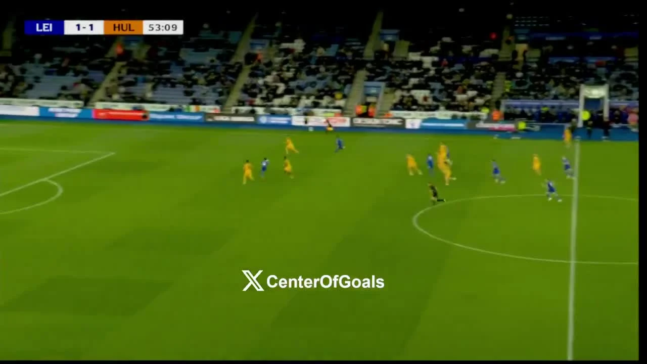 zaslepka skrotu video