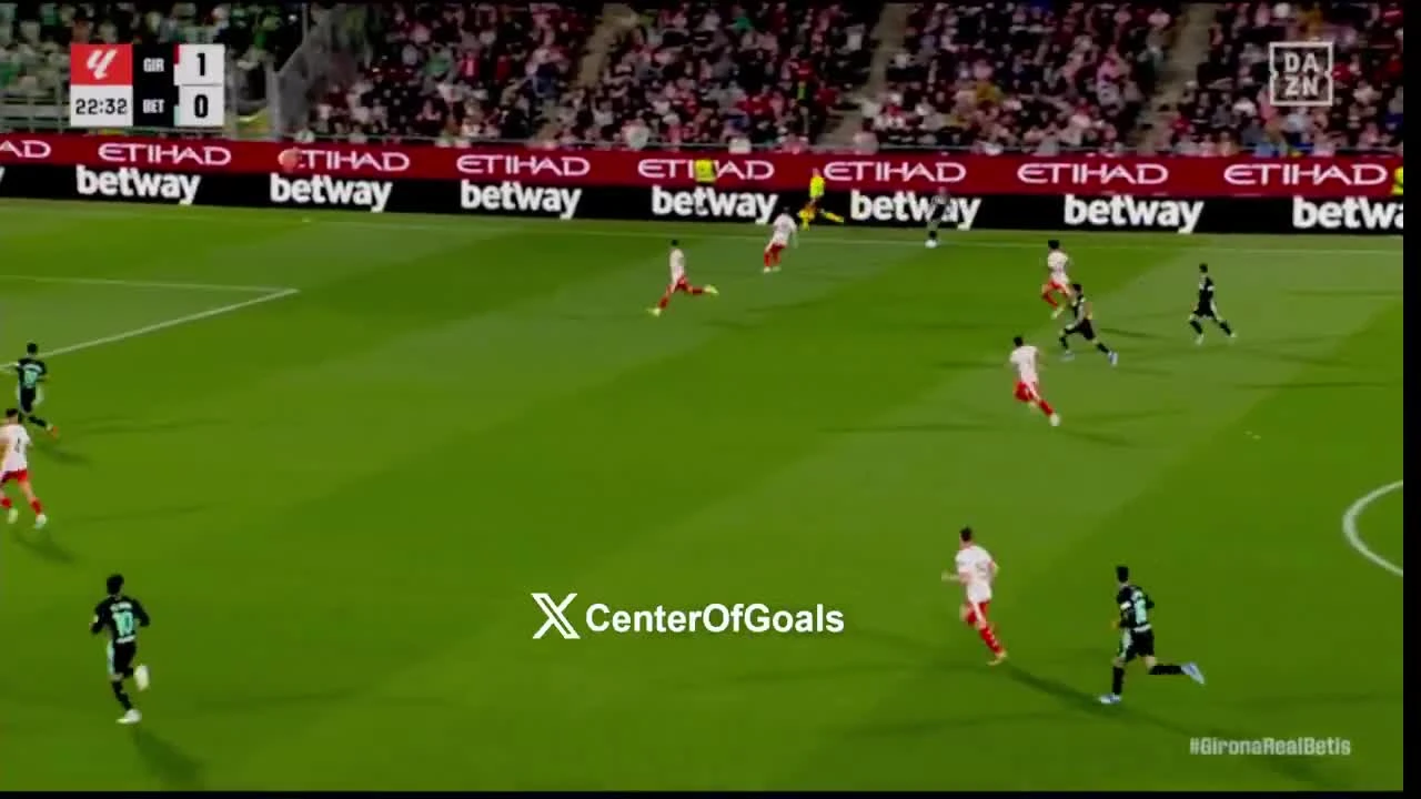 zaslepka skrotu video