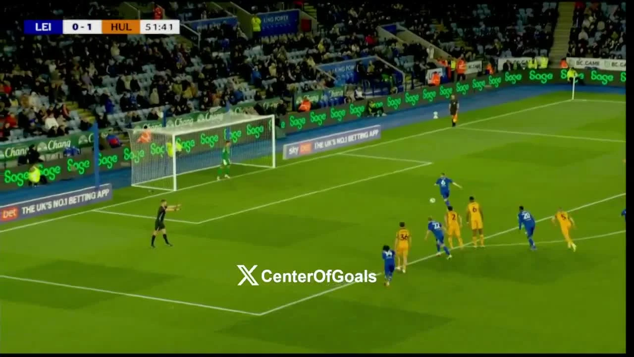 zaslepka skrotu video