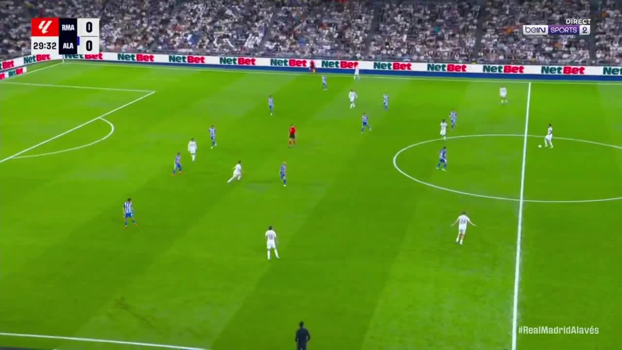 zaslepka skrotu video