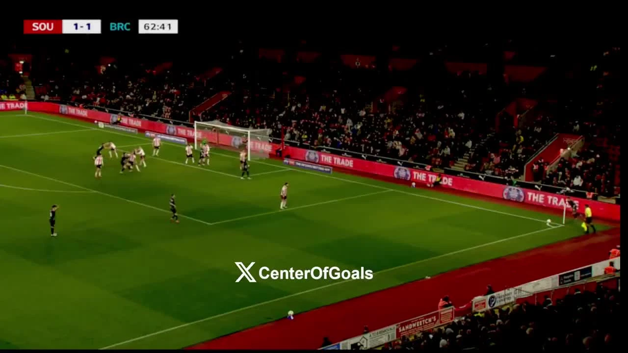 zaslepka skrotu video