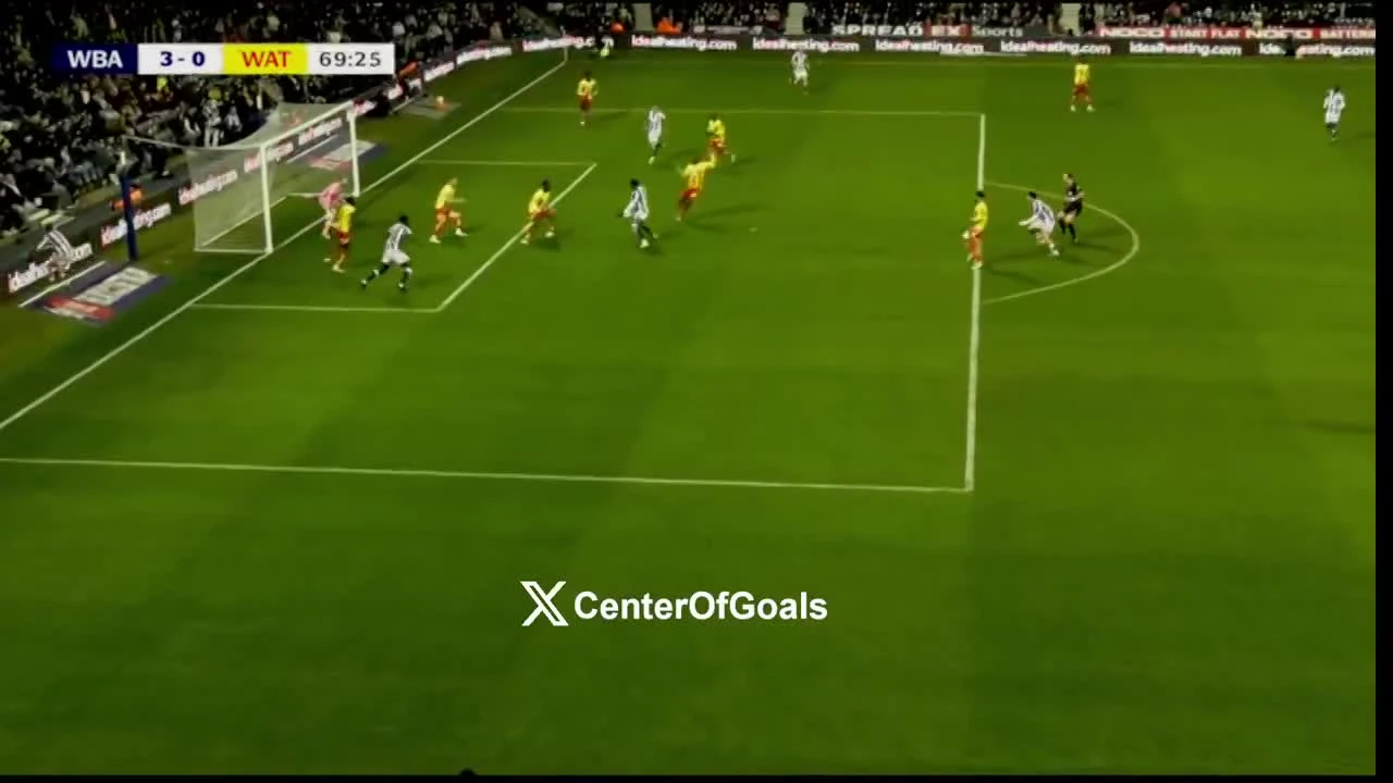 zaslepka skrotu video