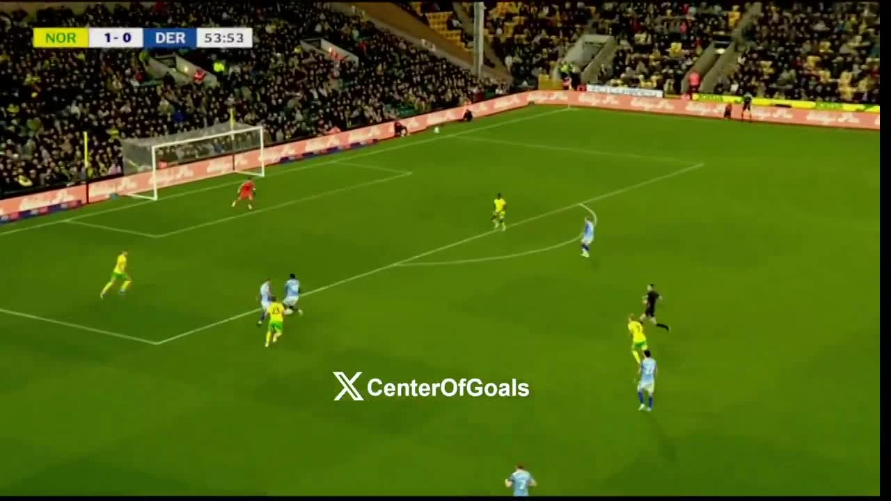 zaslepka skrotu video