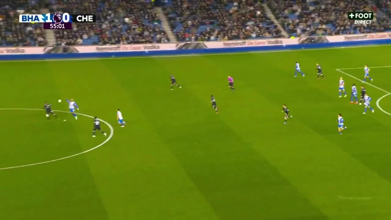 zaslepka skrotu video