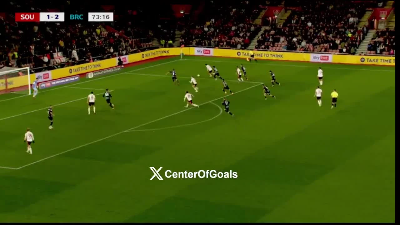 zaslepka skrotu video