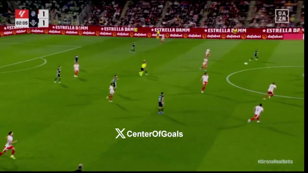 zaslepka skrotu video