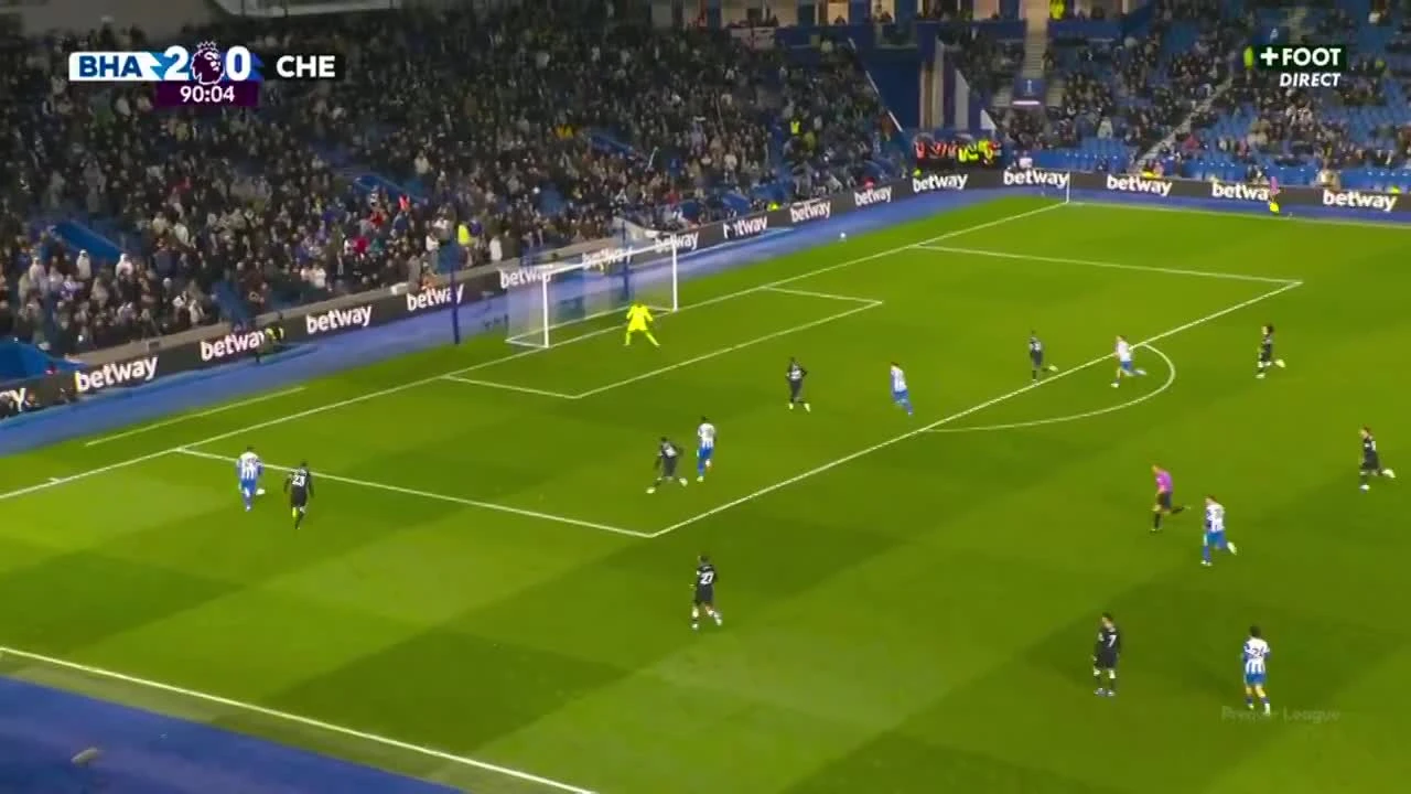 zaslepka skrotu video