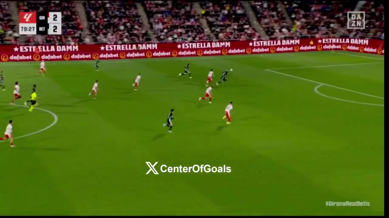 zaslepka skrotu video