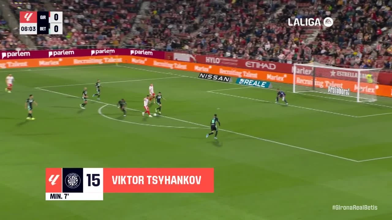 zaslepka skrotu video