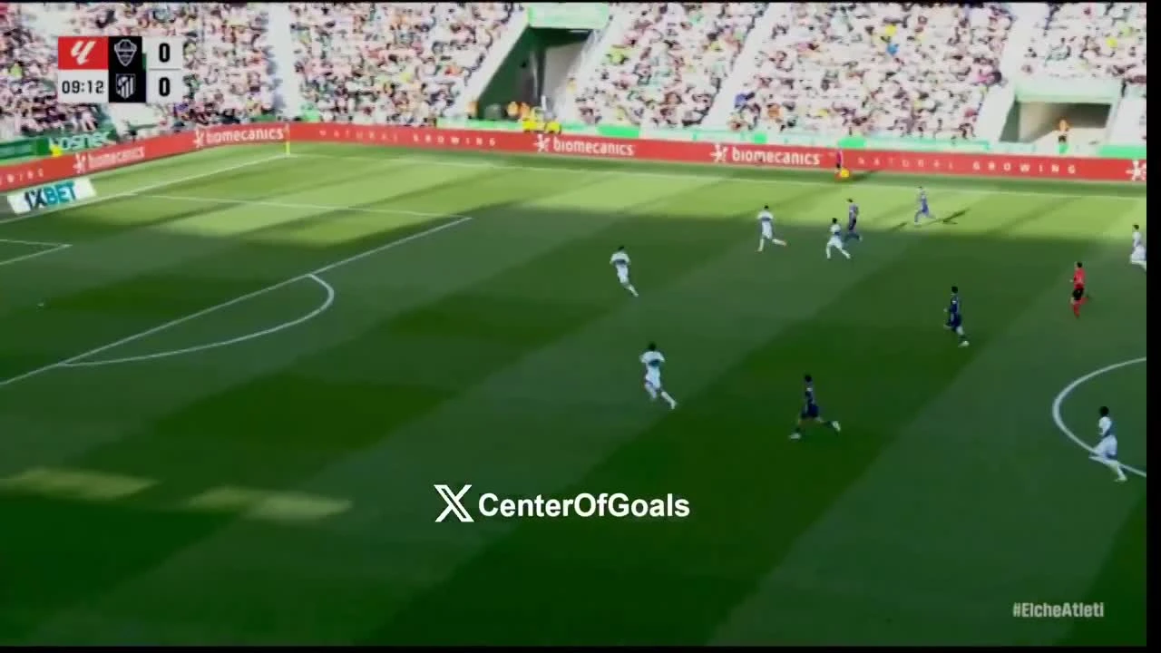 zaslepka skrotu video