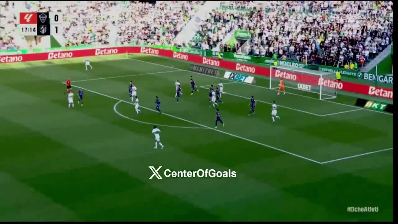 zaslepka skrotu video