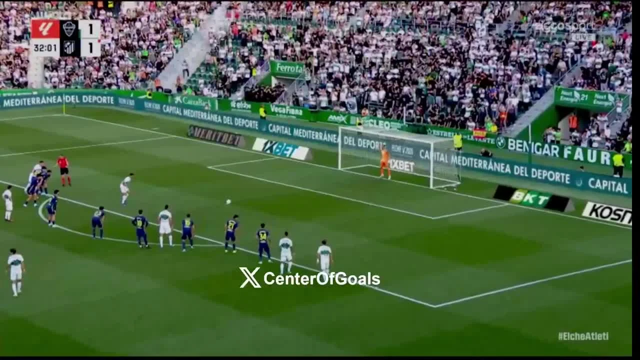 zaslepka skrotu video