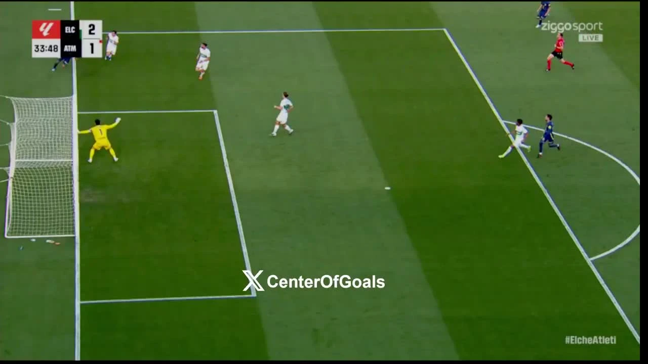 zaslepka skrotu video