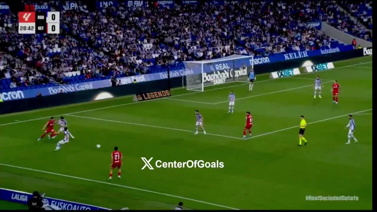 zaslepka skrotu video