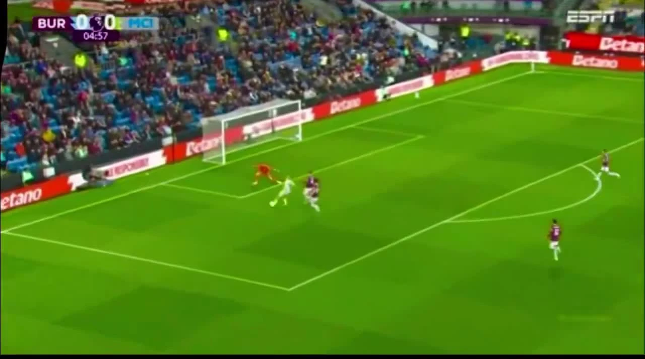 zaslepka skrotu video