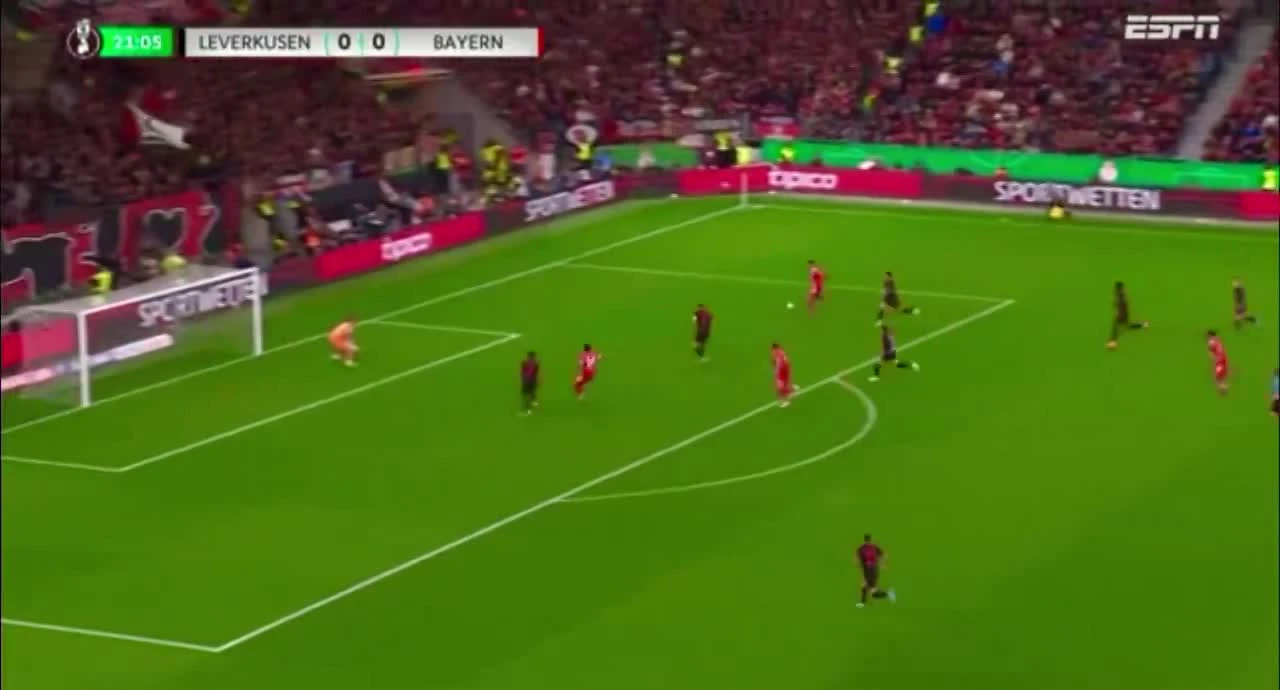 zaslepka skrotu video