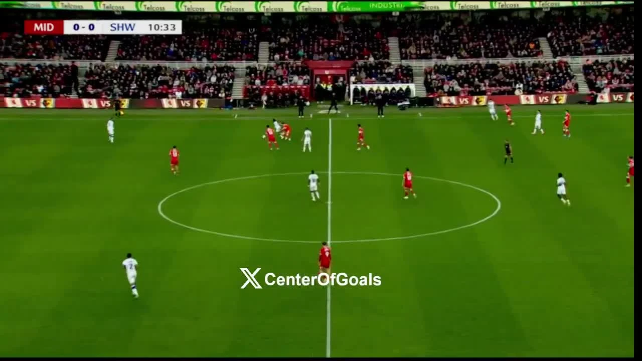 zaslepka skrotu video