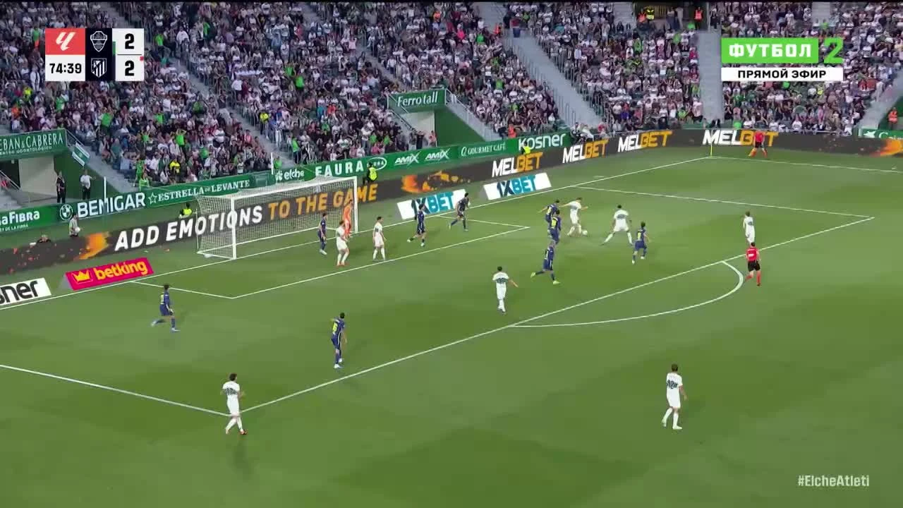 zaslepka skrotu video