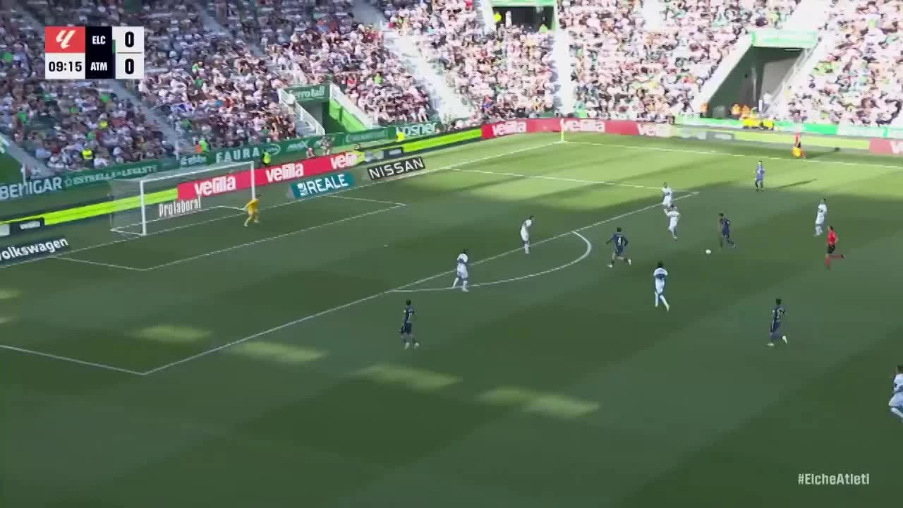 zaslepka skrotu video